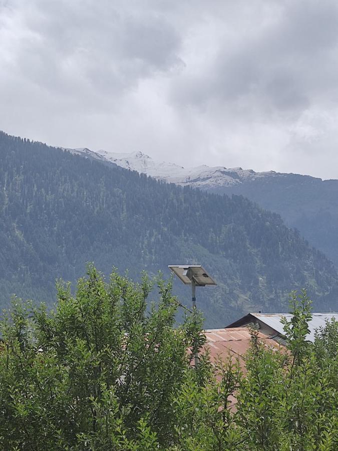 Woods Inn Mountain View Manali المظهر الخارجي الصورة